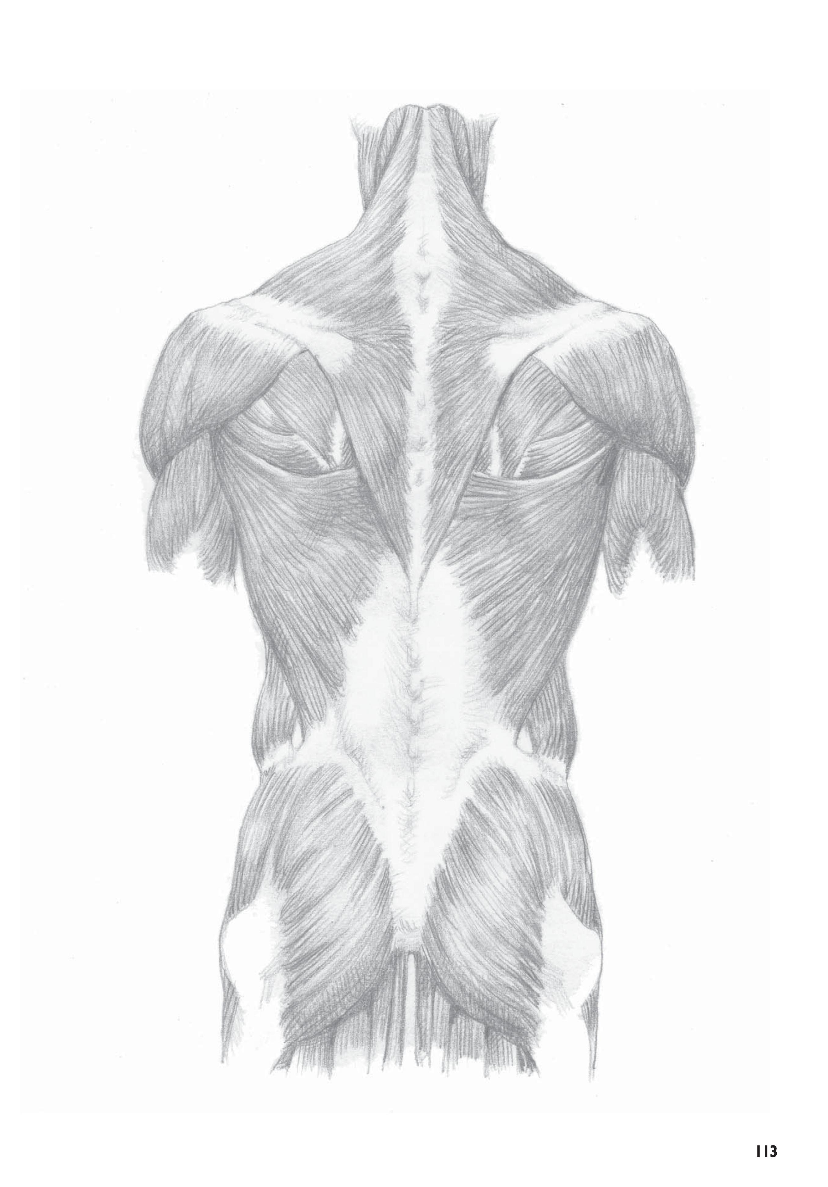 آموزش نقاشی طراحی سیاه قلم شهرری